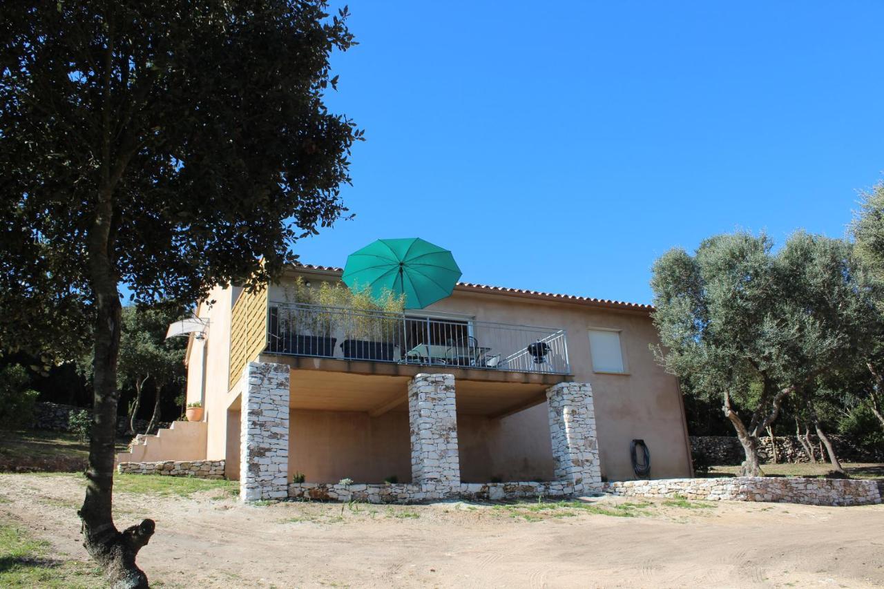Case Di A Cappana-Villa Vincent Bonifacio  Buitenkant foto
