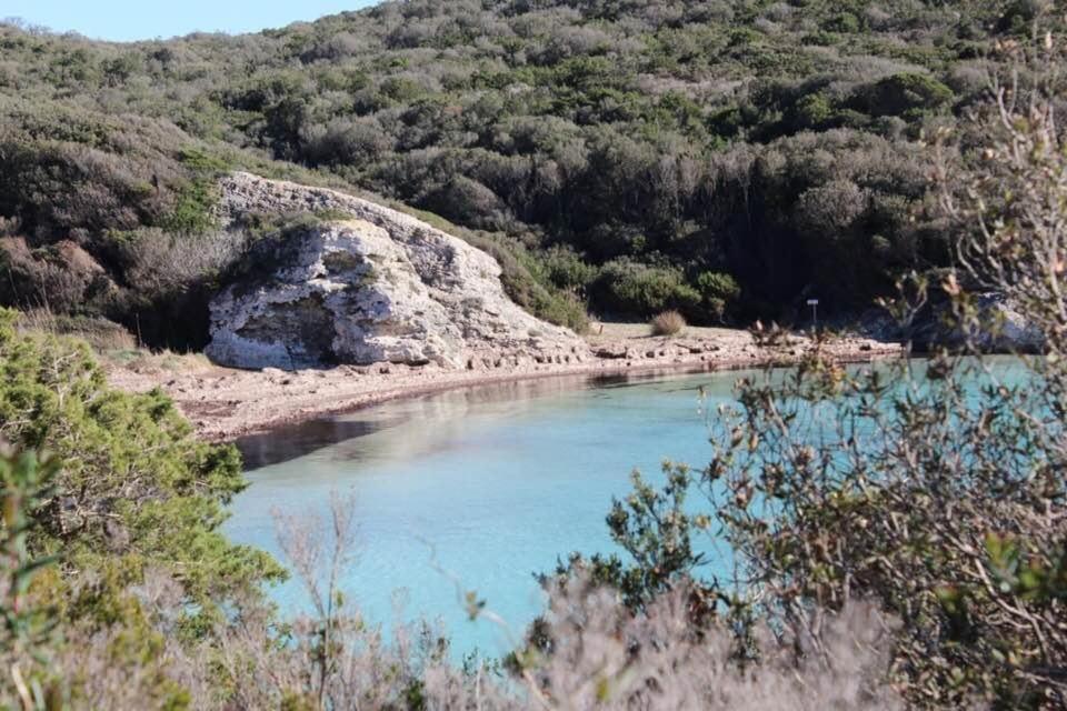 Case Di A Cappana-Villa Vincent Bonifacio  Buitenkant foto